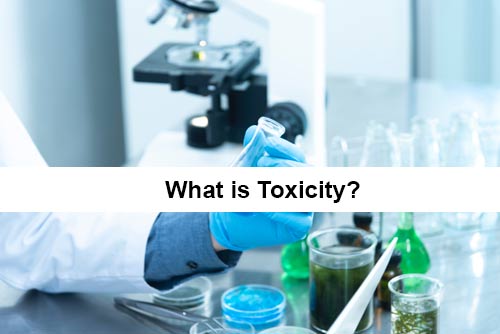 What is toxicity
