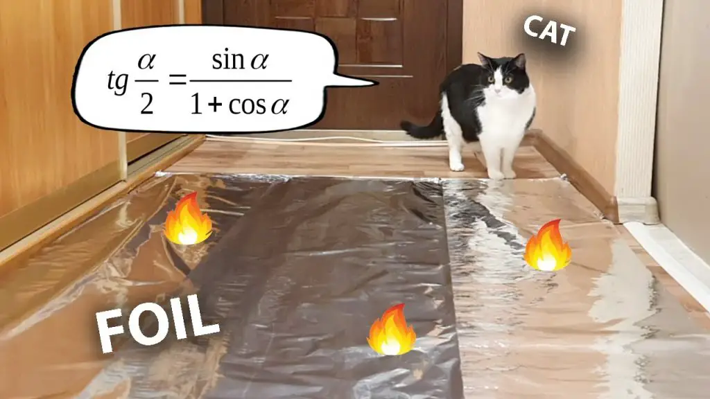 Do Cats Like Foil?