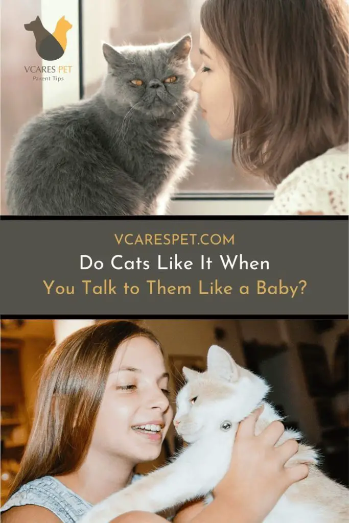 Do Cats Like It When You Talk to Them?