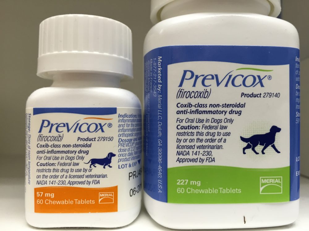 Is Chewable Veterinary Nsaids Toxic to Cats?