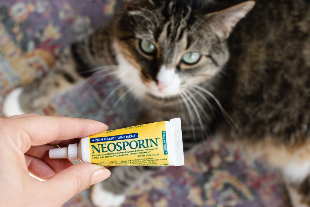 Is Triple Antibiotic Ointment Toxic to Cats?