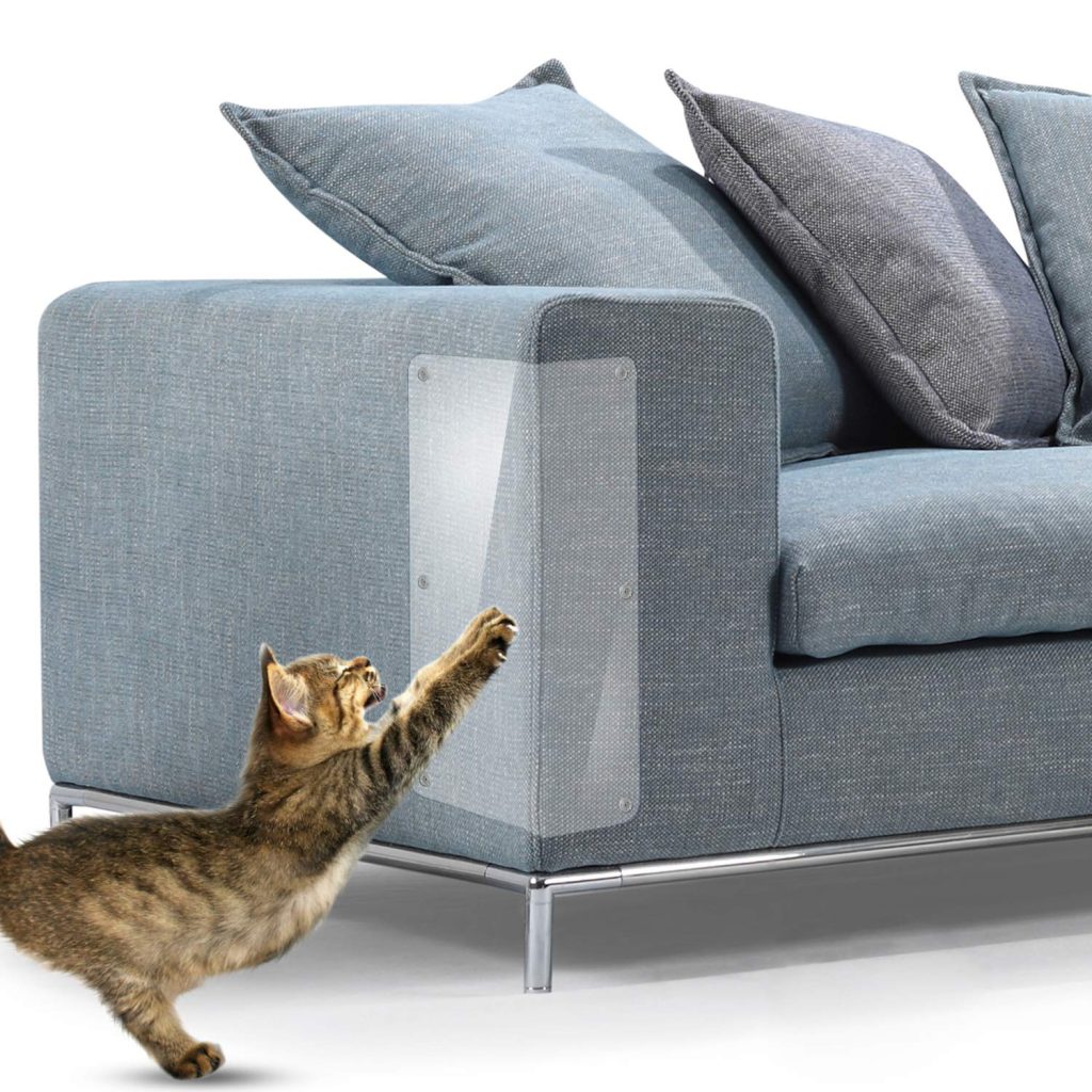 How to Keep Cats from Scratching Couch?