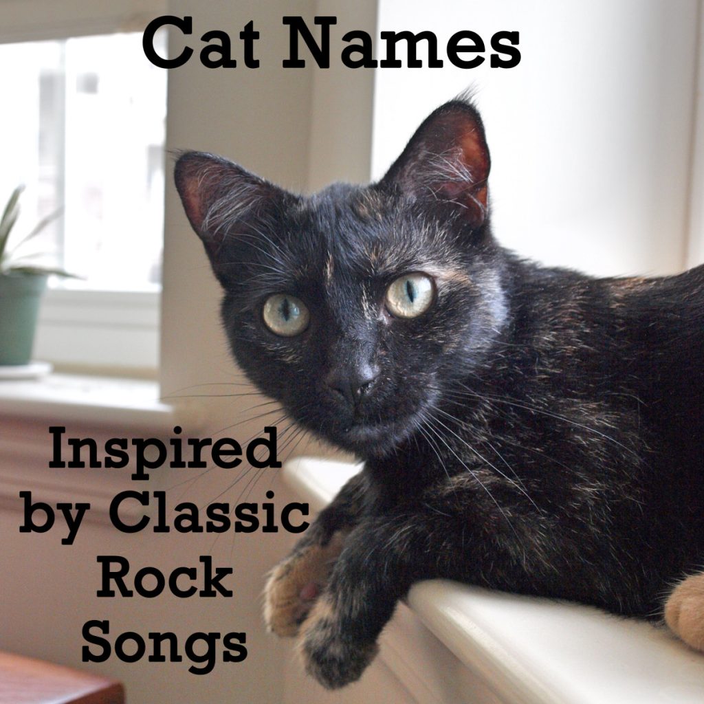Musical Cat Names